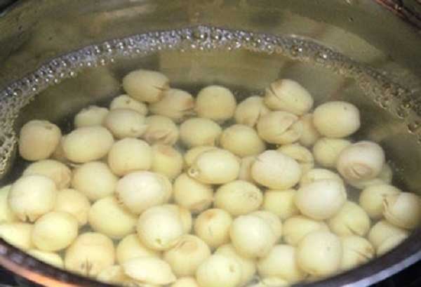 Cách làm mực om nước dừa hạt sen vừa thơm vừa bùi ăn mãi không chán |  Blogamthuc.vn